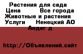 Растения для сада › Цена ­ 200 - Все города Животные и растения » Услуги   . Ненецкий АО,Андег д.